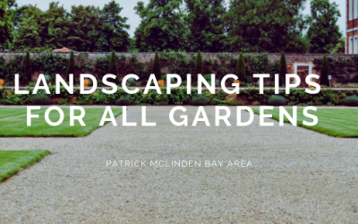 Landscaping Tips for All Gardens